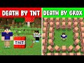 Minecraft but you MUST CHOOSE HOW YOU DIE...