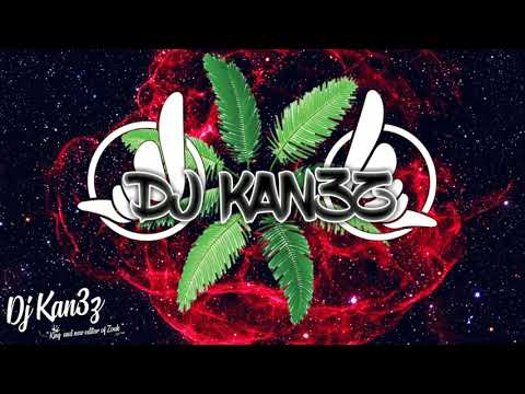 DJ KAN3Z X SIA - Bird set free (kompa 2K19)