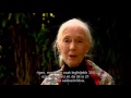 A Very Impressive Interview With Jane Goodall 2016