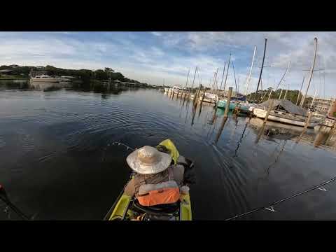 Eau Gallie River  --  6/25/23