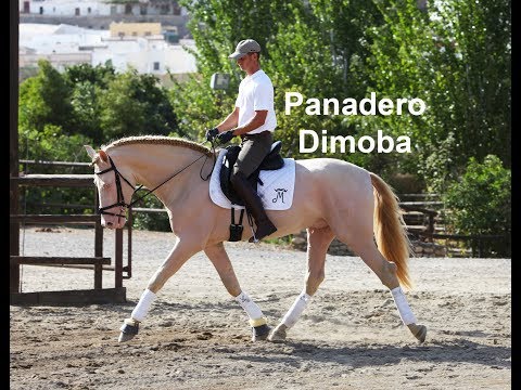 Panadero Dimoba (Publicado 29-9-2019)