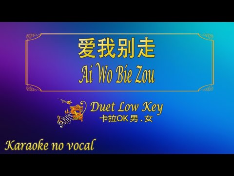 爱我别走 【卡拉OK (男 . 女)】《KTV KARAOKE》 - "Ai Wo Bie Zou" (Duet)