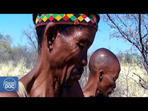A story to know: that of prototype hunter-gatherers, the Bushmen