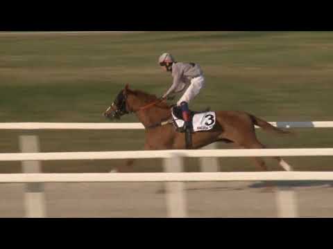 Németh Ferenc EK. I. futam 1200m