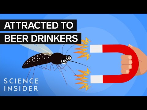 Why Mosquitoes Prefer Some Types Of People More Than Others