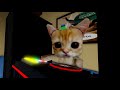 DJ El Gato