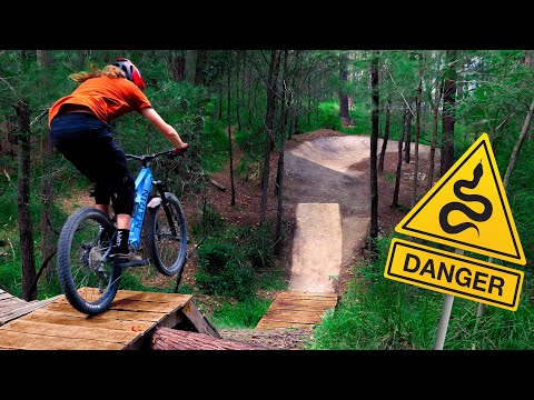 I built a mountain bike trail in a creek full of leeches!