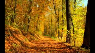 If you want me to stay - Wayman Tisdale *coaster380*