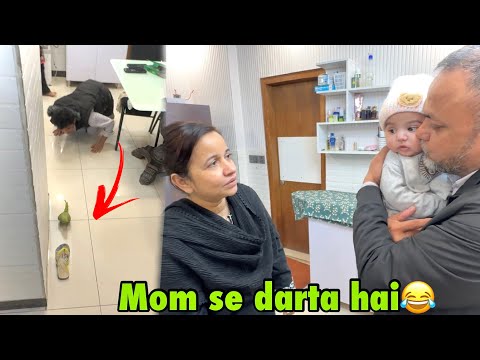 Mama macht Kamil immer noch Angst 😧 | Es war schwierig, die Tasche zu fangen, ich habe alles zers...