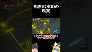 【ブレワイ】普通に正解が分からない