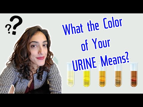 What does the COLOR of your URINE mean?! |  A Urologist Explains