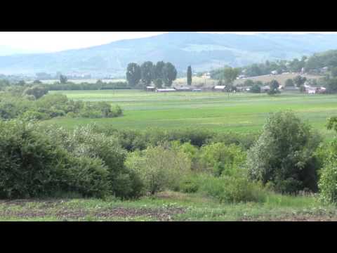 Așezare „La Cuptoare” Bozieni