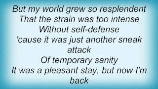 Todd Rundgren - Temporary Sanity Lyrics