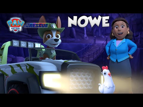 Psi Patrol - sezon 4 - odcinek 14 - Tracker ratuje złotą kurę