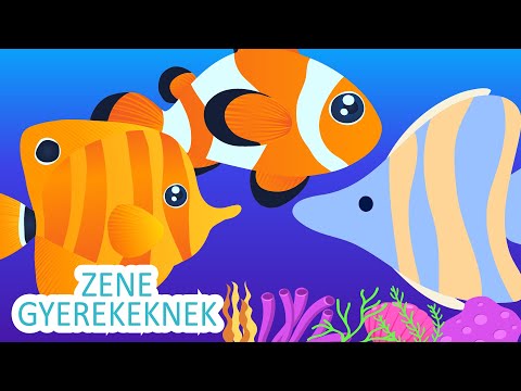 Sok Kicsi Hal - Gyerekdal | Zene Gyerekeknek
