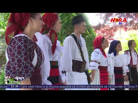 SILVIU AVRAM - LUMEA ASTA NU-I CUM CREZI ( Clip HORA TV )