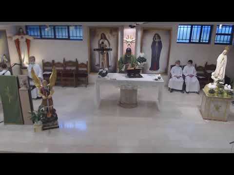 Messa Domenica 14/11 /2021