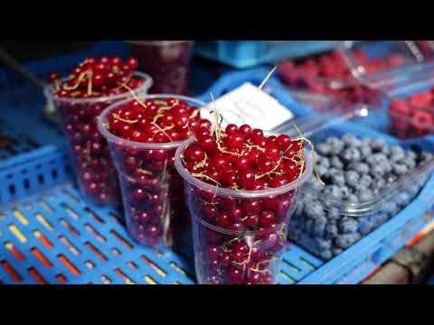 Ceger ep. 689 23. 07. 2021.