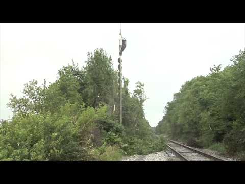 Chainsaw hangs from helicopter to trim trees