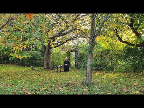 Morning Prayer – Friday, 6th November 2020