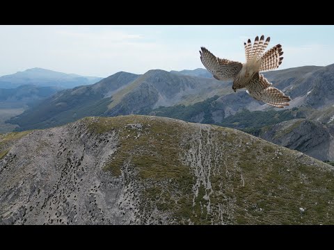 Colle del nibbio ovest, Cimata di Pezza Est, Cimata di Pezza e Punta dell'Azzocchio 4k