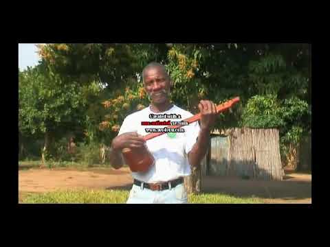 Warila Numa boa 2020