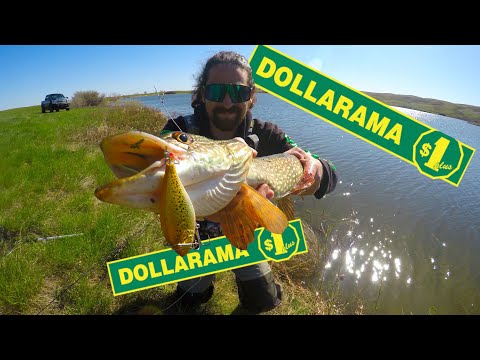 Dollarama Fishing Lures! AMAZING! Budget Fishing HUGE Northern Pike