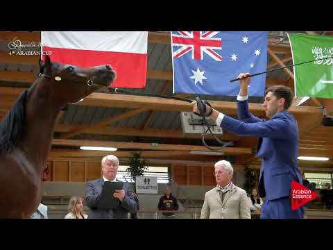 N.6 MAGNIFICAT DU SIARD - Deauville 2017 - Yearling Fillies (Class 1A)
