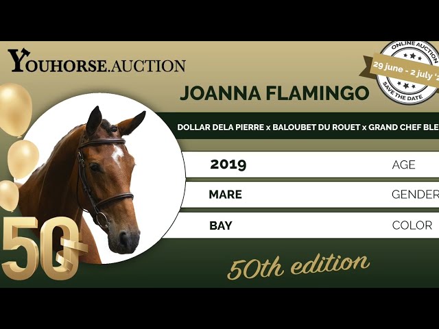 Joanna Flamingo