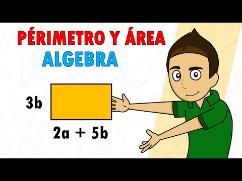 PERIMETER AND AREA WITH ALGEBRAIC EXPRESSIONS Super easy - For beginners