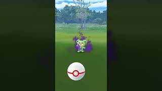 ✨ Shiny Shadow Teddiursa ✨ Caught after Face-Off with Team Rocket Leader Cliff [Pokemon GO] #shorts