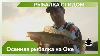 Рыбалка на оке под коломной отчеты