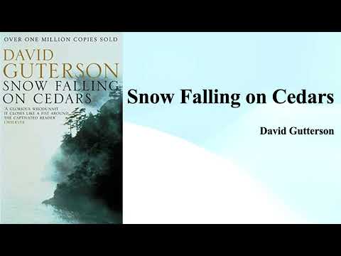 David Guterson's "Snow Falling on Cedars" (Summary)