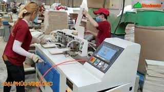 MÁY LÀM MỘNG MANG CÁ ĐUÔI ÉN CNC WOODMASTER TRUNG QUỐC Giá tốt nhất thị trường vn 2021