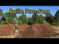 Live Bottom Trailer Dumping Chicken Manure