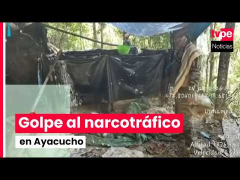 Destruyen dos laboratorios de cocaína e incautan toneladas de insumos en Ayacucho