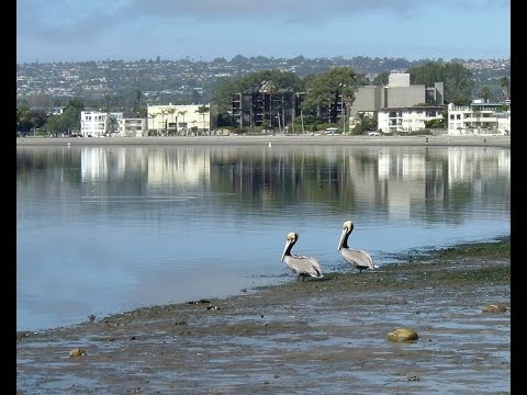 Boardwalk Cafe / Electronic Theremin Music/ David A. Lucas