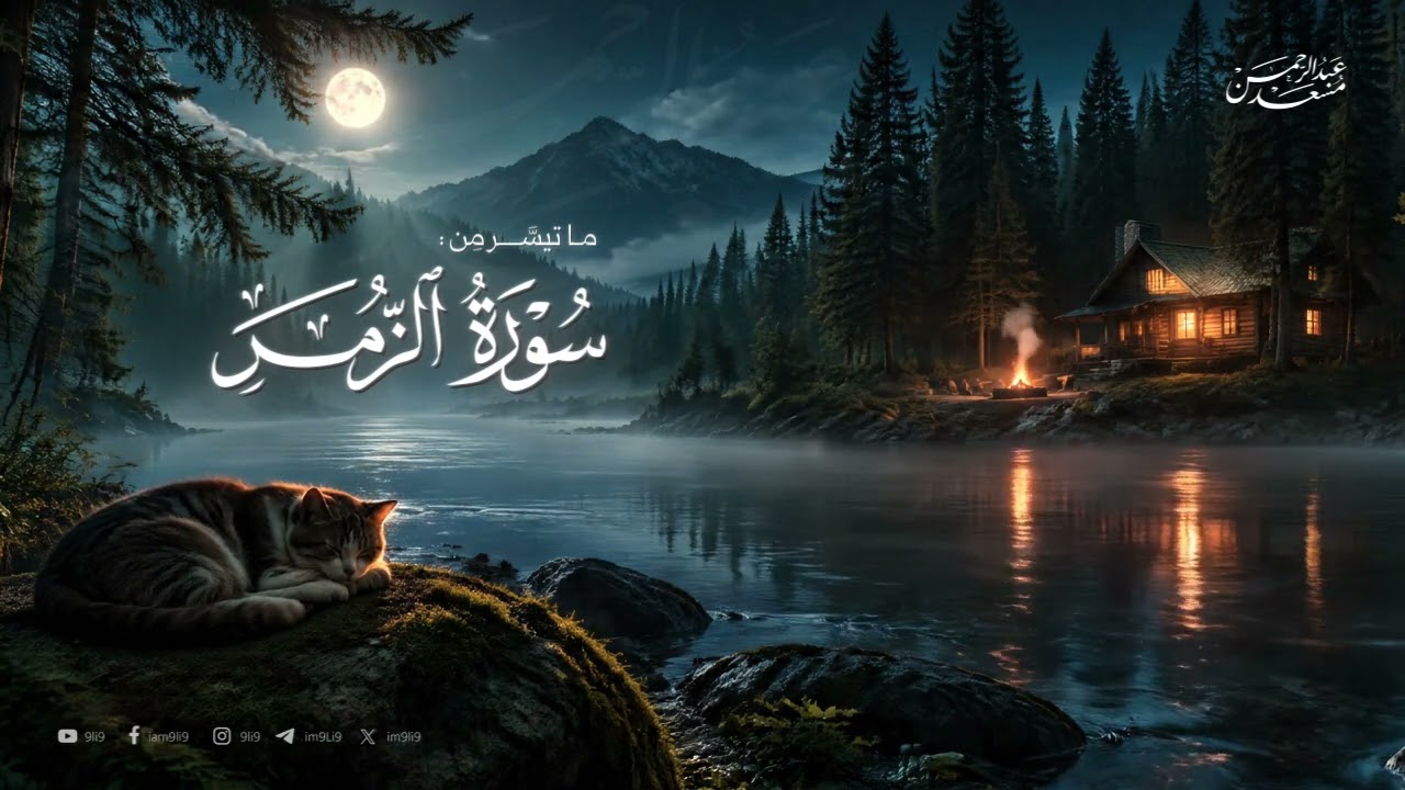 تلاوة بصوت عبدالرحمن مسعد || ساعات من التلاوات لنوم عميق وراحة نفسية