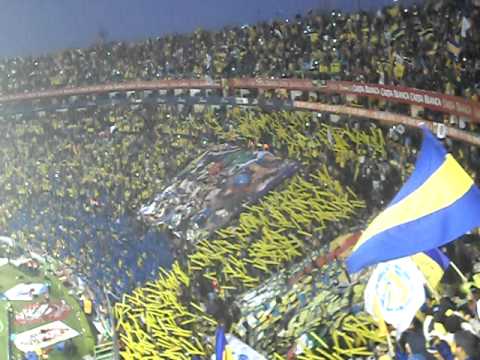 "Recibimiento libres y lokos final Tigres" Barra: Libres y Lokos &bull; Club: Tigres