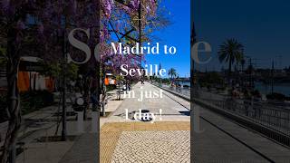 A return day trip from Madrid to Seville with the high-speed train! 💃🇪🇸 #spain #travel #shorts