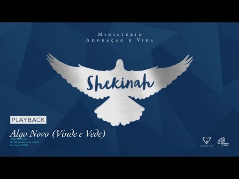Algo Novo (vinde E Vede) video