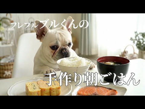 フレンチブルドッグ のサムネイル