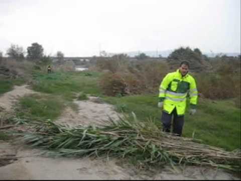 Planta't! 2010 Castellbisbal