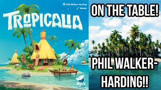 Tropicalia Board Game on the Table