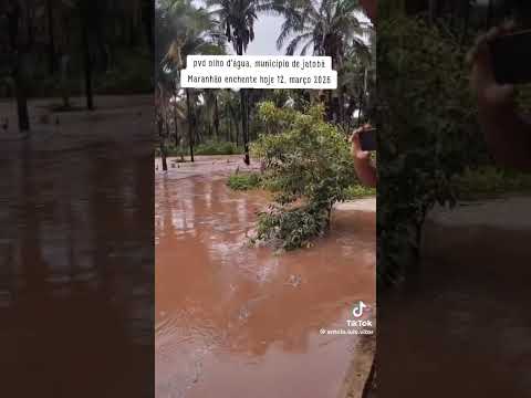 jatoba enxeu no Maranhão ( pano )#costine #amofatasiostranginbrate #dropship