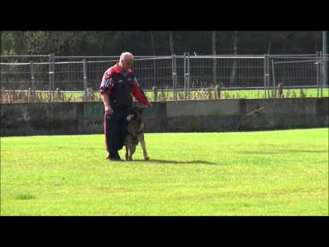 Lloyd van Gilianes B