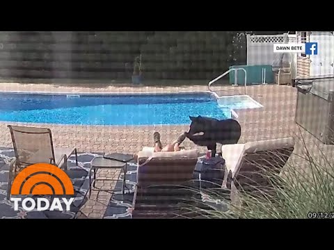 Video Shows Man’s Nap Interrupted By A Black Bear | TODAY