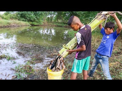 Unique Fish Trapping - Smart Boys Make Fish Trap Using Banana Tree | New Technique Of Catching Fish