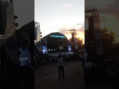 bronko en el festival del rio olimar