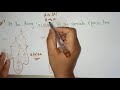 ambiguity in grammar example 1 | TOC | Lec-60 | Bhanu Priya